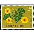 Sierra Leone 1963 Flowers 2d Black Eyed Susan U...