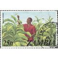 ZAMBIA, Tobacco, green 1968, 25n, #2