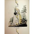 Gallery Of Fashion London 1796, Fashion Book Il...