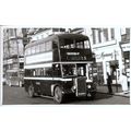 Black & White Photograph of Gateshead & Distric...