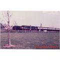 Railway Photo BR Class 45 45131 8th May 1984 Di...