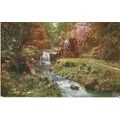 Yorkshire WHITBY Rigg Mill Postcard (Celesque 9...