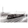 Railway Photograph - No.75053 on a local passen...