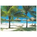 CARTE POSTALE - POLYNESIE FRANCAISE - REF 36