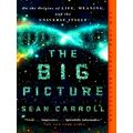 Big Picture - On the Origins of Life, Meaning, and the Universe Itself by Sean C