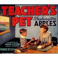 Teacher's Pet Washington Apples Advertisement P...