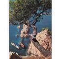 Costa Brava Rocas y pinos Spain Postcard unused...