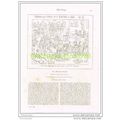 A FEW FRIENDS TO TEA (MR PIPS AND HIS DIARY), B...