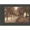 Postcard Hampshire Southampton The Avenue 1922 ...