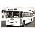 Black & White Photograph of Birch Brothers Ltd....