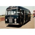 Colour Photograph of Maidstone & District Motor...