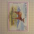 Lesotho QEII 1984 Baby Animals 15s Eland Calf M...