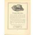 american optical company 1923 wellsworth ultex ...