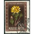 1950 Michel 1114 - cancelled