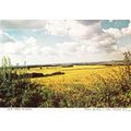Kelshall Village Herts Hertfordshire Womens Ins...