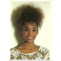 Music WHITNEY HOUSTON Postcard (Santoro C267)
