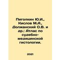 Yu.I. Pigolkin, M.A. Kislov, O.V. Dolzhansky et...