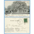 CT Branford Trinity Episcopal Church Photo Type...