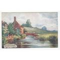 The Old North Mill Wareham Tuck's Oilette Art P...