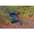 Burundi Woman Gathering Water Africa Rare Postcard