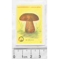vintage Yugoslavia Matchbox Label - Toadstool, ...