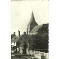 Sussex MAYFIELD High Street Postcard (Norman D1...