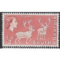 SOUTH GEORGIA 1963/1969 SG 1 - MNH (**)