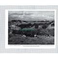 X1967) Armagh Northern Ireland - 1960s Print / ...