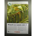 2008 Canon Photography Ad - Yellow-eyed Leaf Frog - Wildlife as Canon sees it