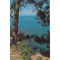 Akamas Sea Cyprus Postcard posted 1995 VGC