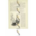 St Saviour's Dock, London, England, Book Illust...