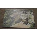 1907 fr B&D Kromo series Postcard - Lovers Seat...