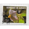 DJIBOUTI 1979 TOMATO EGG PLANT ? FLOWER FLORA 8...