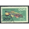 Germany (DDR) 1966 - SG E944 - 20pf Blue Gulari...
