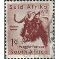 SOUTH AFRICA, MAMMAL, Blue wildebeest, brown-vi...