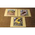2018 GB PHQ Postcards - Reintroduced Species - ...