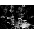 River Clyde Lanarkshire, B & W Photo Book Illus...