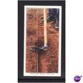 WILLS - 1938 GARDEN HINTS NO 15 MAKING SEED DRI...