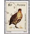Poland. 1986 5z S.G.3032 Used