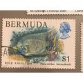 Bermuda QEII 1979 Wildlife $1 Blue Angelfish Us...