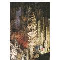 Lozere L'Aven Armand Le Palmier France Postcard...