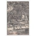 The Rustic Bridge Norbury Topse Postcard 1904 S...