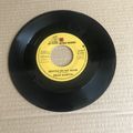 DEAN MARTIN - Gentle on my mind - That old tine...
