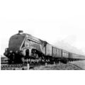 15 A4 ‘QUICKSILVER’ @ RETFORD 47 (1)