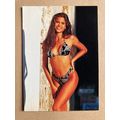 Ujena Swimwear Illustrated 1994 Edition Base tr...