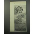 1955 Black, Starr & Gorham Jewelry Ad - Your summer stars