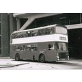 Black & White Photograph of Northampton Corpora...