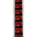 Bram Stokers Dracula. Pk GEB - A002b. 1 STRIP O...