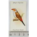 1933 John Player & Sons Aviary & Cage Birds 39 ...