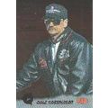 1995 Images Dale Earnhardt-Race Reflections DE2...